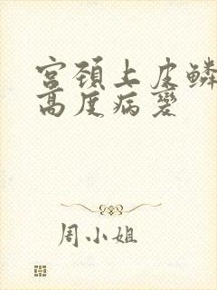 宫颈上皮鳞状内高度病变