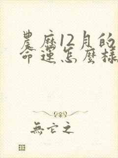 农历12月的猴命运怎么样
