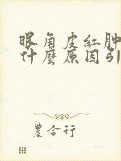 眼角皮红肿痒是什么原因引起的封面