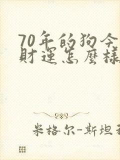70年的狗今年财运怎么样
