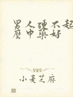 男人硬不起吃什么中药好
