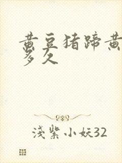 黄豆猪蹄黄豆泡多久