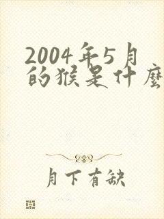 2004年5月的猴是什么命
