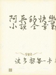 阿兵的快乐生活小说 全章节阅读免费封面