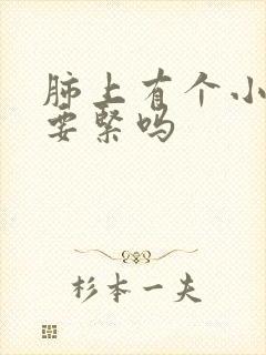 肺上有个小结节要紧吗