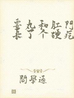 睾丸和肛门之间长了个硬疙瘩挂什么科