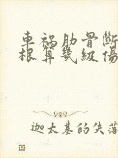 车祸肋骨断了8根算几级伤残封面