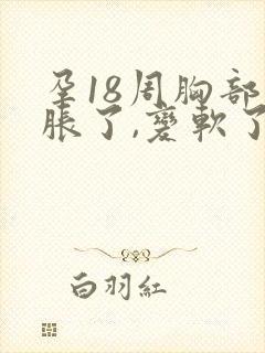 孕18周胸部不胀了,变软了封面