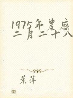 1975年农历二月二十八的命