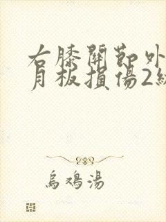 右膝关节外侧半月板损伤2级