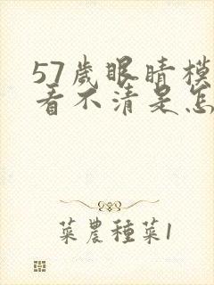57岁眼睛模糊看不清是怎么回事