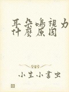 耳朵鸣视力模糊什么原因