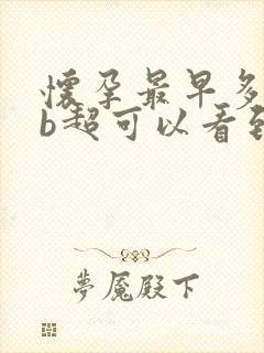 怀孕最早多少天b超可以看到孕囊