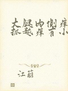 大腿内侧痒痒越抓越痒有小红疙瘩怎么解决封面