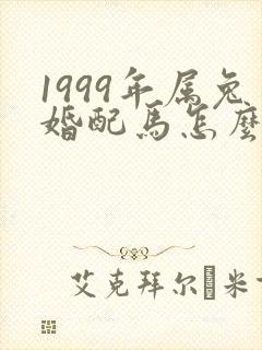 1999年属兔婚配马怎么样封面