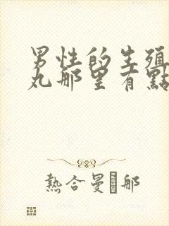 男性的生殖器睾丸那里有点疼是怎么回事