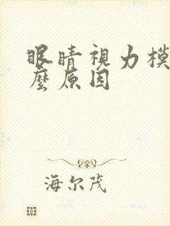 眼睛视力模糊什么原因封面