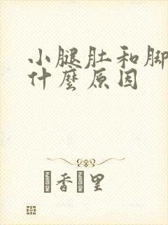 小腿肚和脚抽筋什么原因
