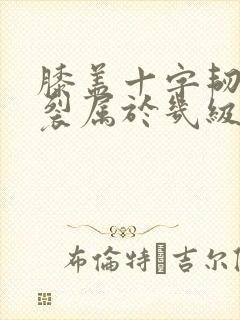 膝盖十字韧带断裂属于几级伤残封面