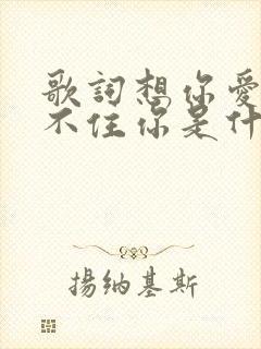 歌词想你爱你留不住你是什么歌