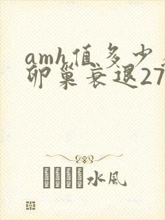 amh值多少为卵巢衰退27岁