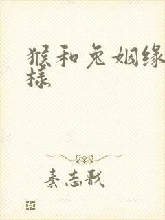 猴和兔姻缘怎么样封面