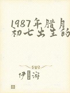 1987年腊月初七出生的命运