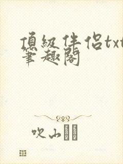 顶级伴侣txt笔趣阁