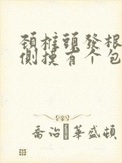 颈椎头发根部右侧摸有个包封面