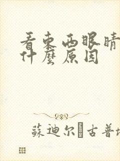 看东西眼睛模糊什么原因