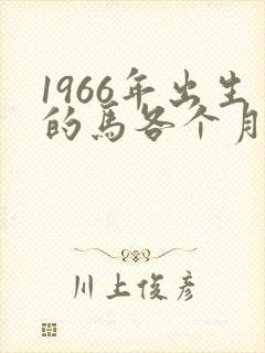 1966年出生的马各个月的命运