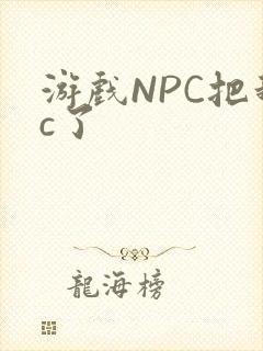 游戏NPC把我c了