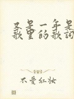 又是一年是哪首歌里的歌词