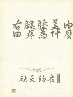 右腿膝盖内侧弯曲疼为什么
