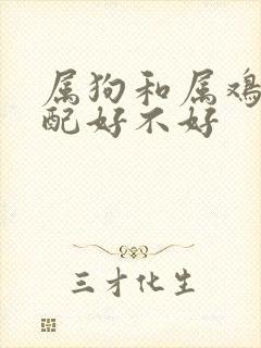 属狗和属鸡的婚配好不好
