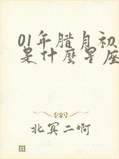 01年腊月初九是什么星座