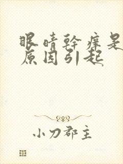 眼晴干痒是什么原因引起