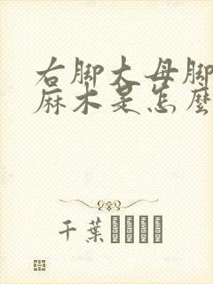 右脚大母脚趾头麻木是怎么回事