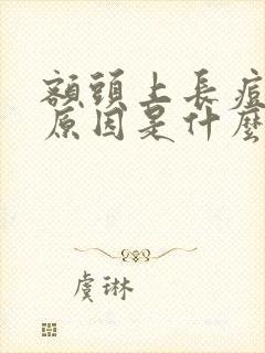 额头上长痘痘的原因是什么封面