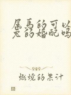 属马的可以和属兔的婚配吗?