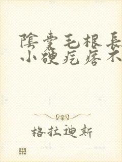 阴囊毛根长了个小硬疙瘩不痛不痒
