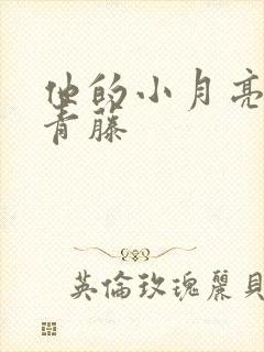 他的小月亮by青藤