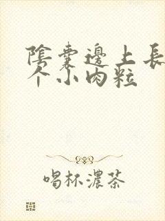 阴囊边上长了一个小肉粒