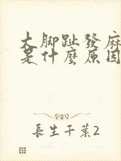 大脚趾发麻发凉是什么原因