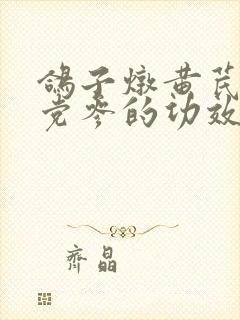 鸽子炖黄芪当归党参的功效和作用