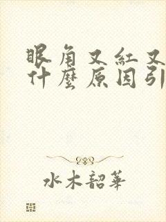 眼角又红又痒是什么原因引起的
