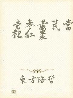 党参黄芪当归枸杞红枣