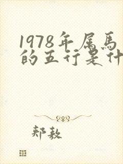 1978年属马的五行是什么命封面