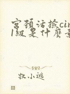 宫颈活检cin1级是什么意思