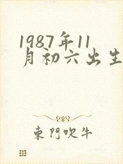 1987年11月初六出生的人命运